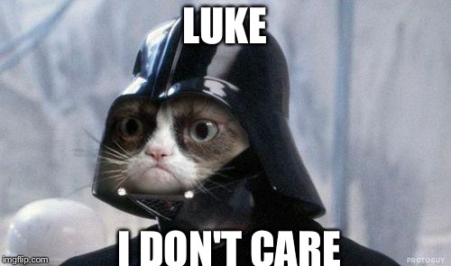 Grumpy Cat Star Wars | LUKE; I DON'T CARE | image tagged in memes,grumpy cat star wars,grumpy cat | made w/ Imgflip meme maker