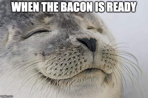 Satisfied me. | WHEN THE BACON IS READY | image tagged in memes,satisfied seal,iwanttobebacon,bacon | made w/ Imgflip meme maker
