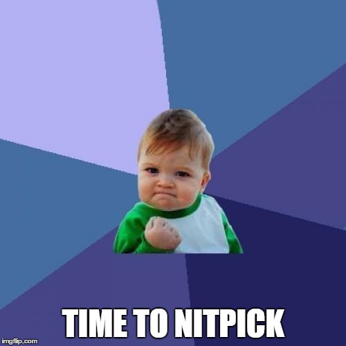 Success Kid | TIME TO NITPICK | image tagged in memes,success kid | made w/ Imgflip meme maker