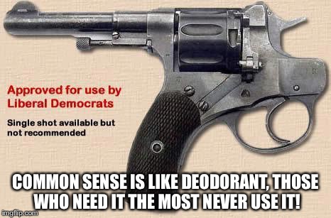 Liberals love Selfies....I love them loving them myself... | COMMON SENSE IS LIKE DEODORANT, THOSE WHO NEED IT THE MOST NEVER USE IT! | image tagged in liberals love selfiesi love them loving them myself | made w/ Imgflip meme maker