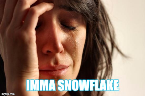 First World Problems Meme | IMMA SNOWFLAKE | image tagged in memes,first world problems | made w/ Imgflip meme maker