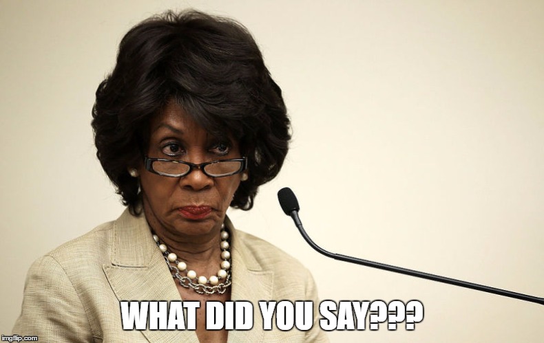WHAT DID YOU SAY??? | image tagged in maxine | made w/ Imgflip meme maker