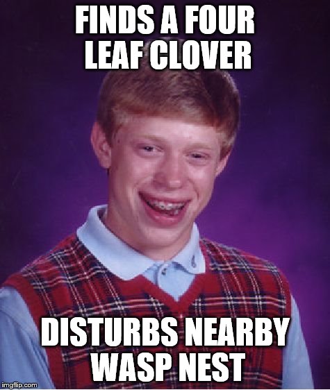 Bad Luck Brian Meme | FINDS A FOUR LEAF CLOVER DISTURBS NEARBY WASP NEST | image tagged in memes,bad luck brian | made w/ Imgflip meme maker