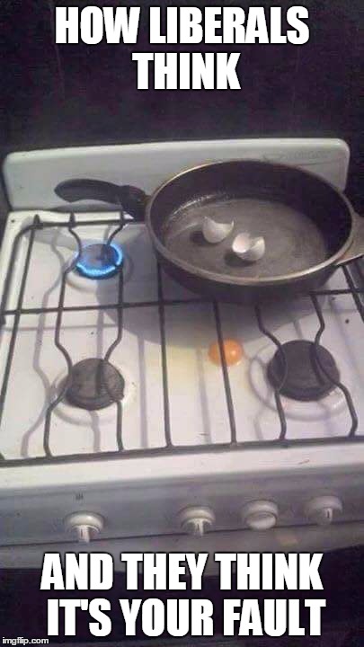 Liberal thinking, egg on stove |  HOW LIBERALS THINK; AND THEY THINK IT'S YOUR FAULT | image tagged in eggs,stove,government,liberals,fail | made w/ Imgflip meme maker