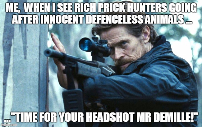 Hunter | ME,  WHEN I SEE RICH PRICK HUNTERS GOING AFTER INNOCENT DEFENCELESS ANIMALS ... ..."TIME FOR YOUR HEADSHOT MR DEMILLE!" | image tagged in hunter | made w/ Imgflip meme maker
