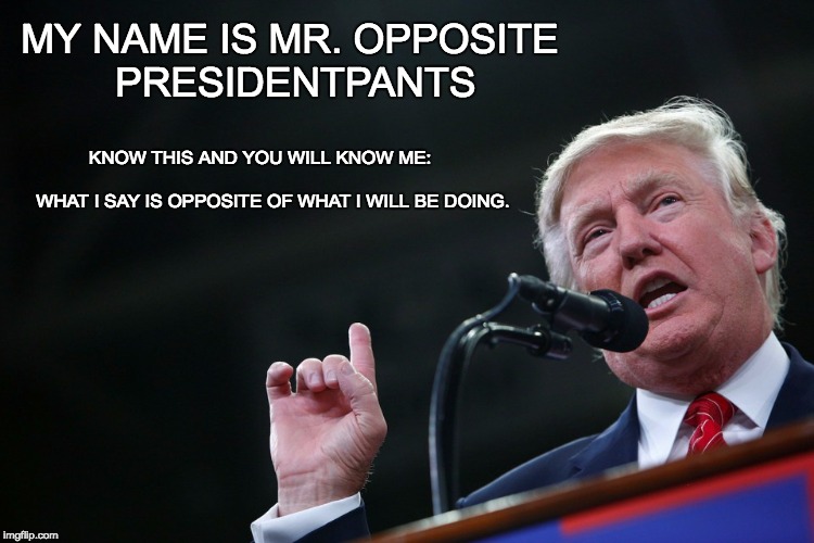 MY NAME IS MR. OPPOSITE PRESIDENTPANTS; KNOW THIS AND YOU WILL KNOW ME:                                               WHAT I SAY IS OPPOSITE OF WHAT I WILL BE DOING. | image tagged in opposite president | made w/ Imgflip meme maker