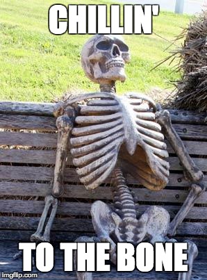 Waiting Skeleton Meme |  CHILLIN'; TO THE BONE | image tagged in memes,waiting skeleton | made w/ Imgflip meme maker
