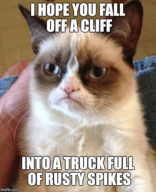 Grumpy Cat Meme | I HOPE YOU FALL OFF A CLIFF; INTO A TRUCK FULL OF RUSTY SPIKES | image tagged in memes,grumpy cat | made w/ Imgflip meme maker
