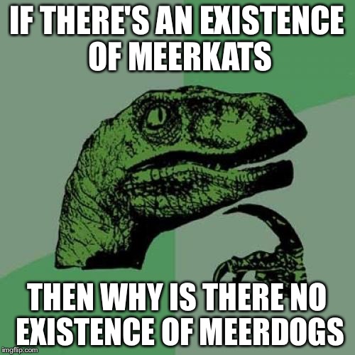 Philosoraptor | IF THERE'S AN EXISTENCE OF MEERKATS; THEN WHY IS THERE NO EXISTENCE OF MEERDOGS | image tagged in memes,philosoraptor | made w/ Imgflip meme maker