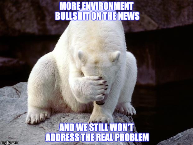 Polar Bear | MORE ENVIRONMENT BULLSHIT ON THE NEWS AND WE STILL WON'T ADDRESS THE REAL PROBLEM | image tagged in polar bear | made w/ Imgflip meme maker
