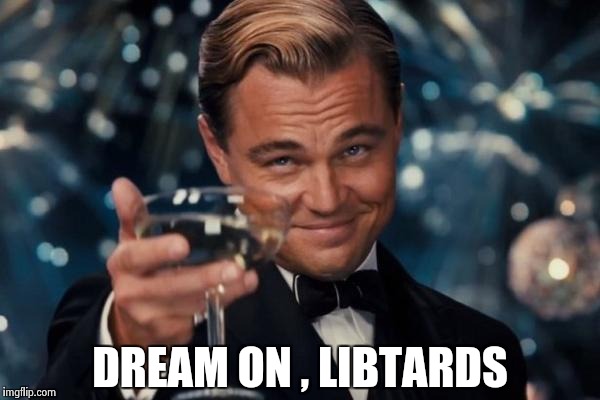 Leonardo Dicaprio Cheers Meme | DREAM ON , LIBTARDS | image tagged in memes,leonardo dicaprio cheers | made w/ Imgflip meme maker
