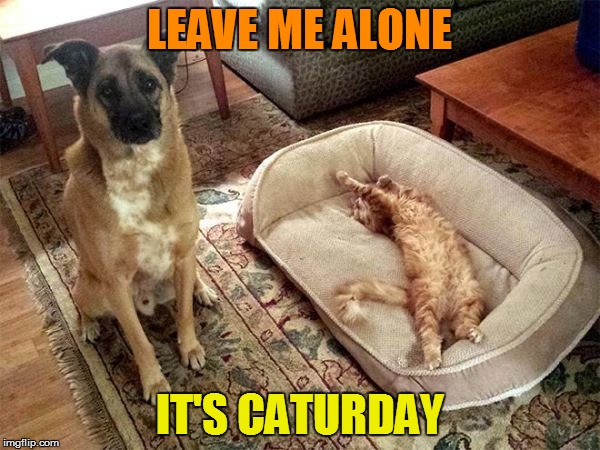 LEAVE ME ALONE IT'S CATURDAY | made w/ Imgflip meme maker