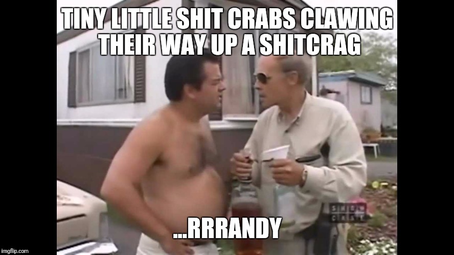 TINY LITTLE SHIT CRABS CLAWING THEIR WAY UP A SHITCRAG; ...RRRANDY | image tagged in rock climbing,climbing | made w/ Imgflip meme maker