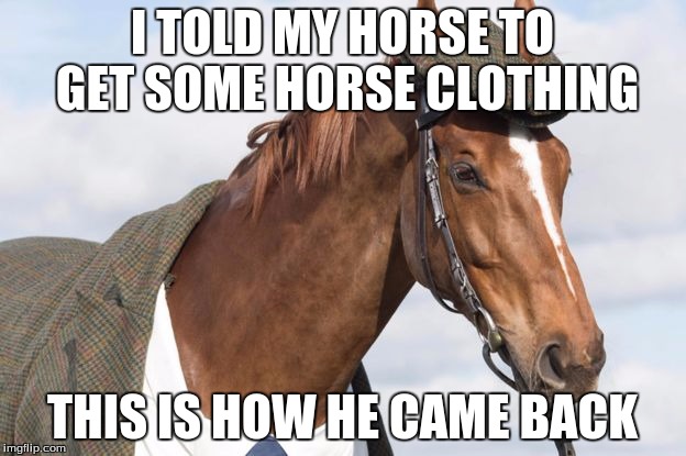 Business Horse  | I TOLD MY HORSE TO GET SOME HORSE CLOTHING; THIS IS HOW HE CAME BACK | image tagged in horses,memes | made w/ Imgflip meme maker