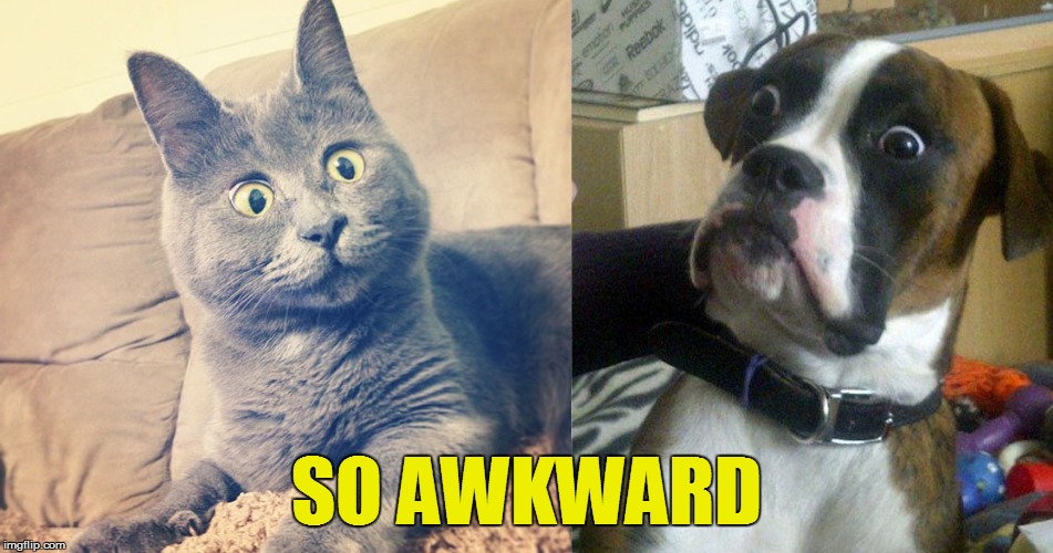 SO AWKWARD | made w/ Imgflip meme maker