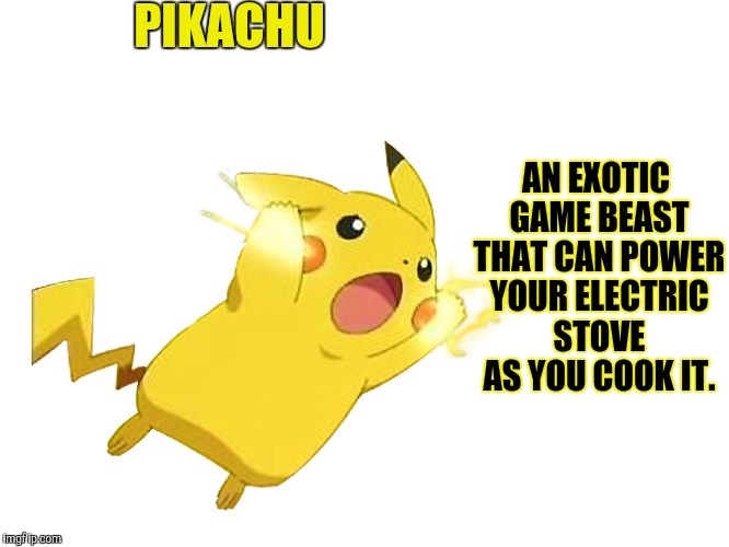 PIKACHU AN EXOTIC GAME BEAST THAT CAN POWER YOUR ELECTRIC STOVE AS YOU COOK IT. | made w/ Imgflip meme maker