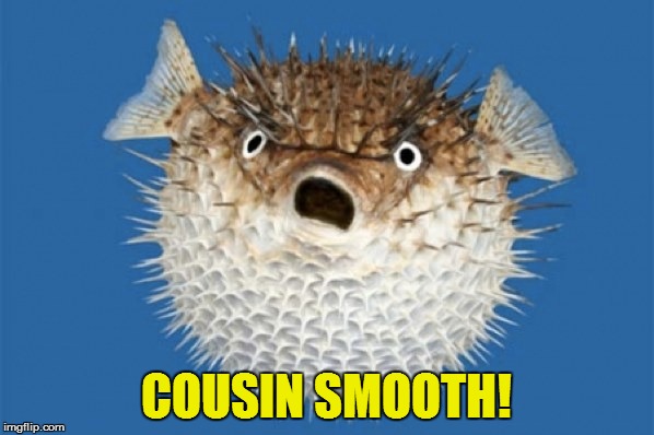 COUSIN SMOOTH! | made w/ Imgflip meme maker