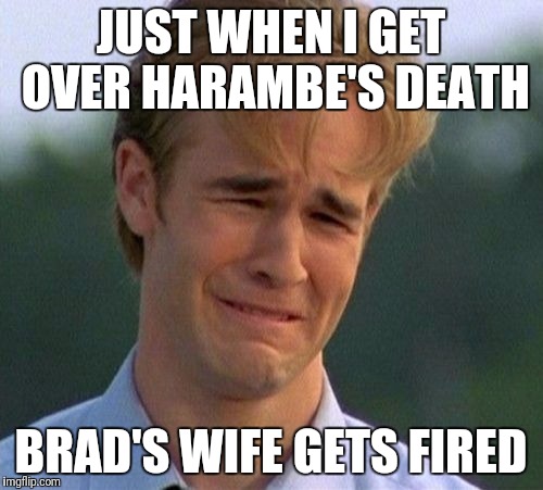 More sad news | JUST WHEN I GET OVER HARAMBE'S DEATH; BRAD'S WIFE GETS FIRED | image tagged in memes,harambe,brad's wife | made w/ Imgflip meme maker