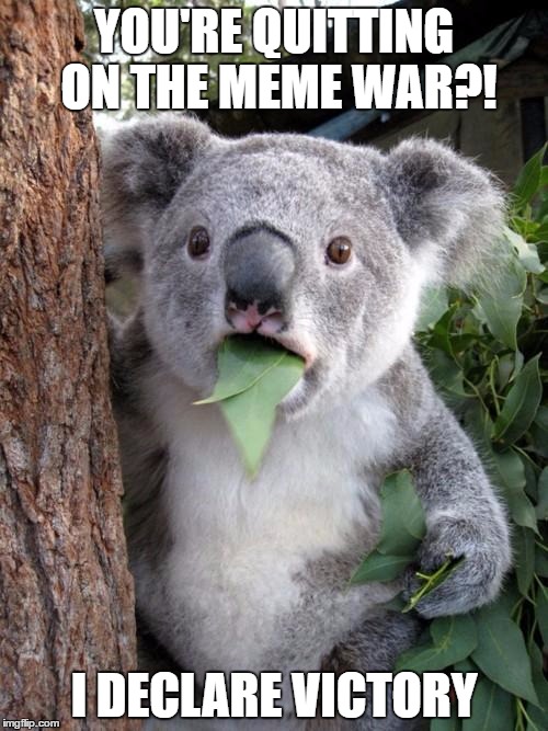 Surprised Koala Meme | YOU'RE QUITTING ON THE MEME WAR?! I DECLARE VICTORY | image tagged in memes,surprised koala | made w/ Imgflip meme maker