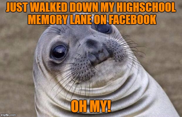 Awkward Moment Sealion | JUST WALKED DOWN MY HIGHSCHOOL MEMORY LANE ON FACEBOOK; OH MY! | image tagged in memes,awkward moment sealion | made w/ Imgflip meme maker