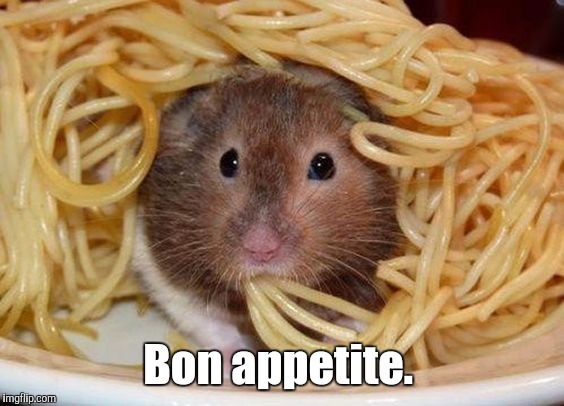 Spaghetti | Bon appetite. | image tagged in spaghetti | made w/ Imgflip meme maker