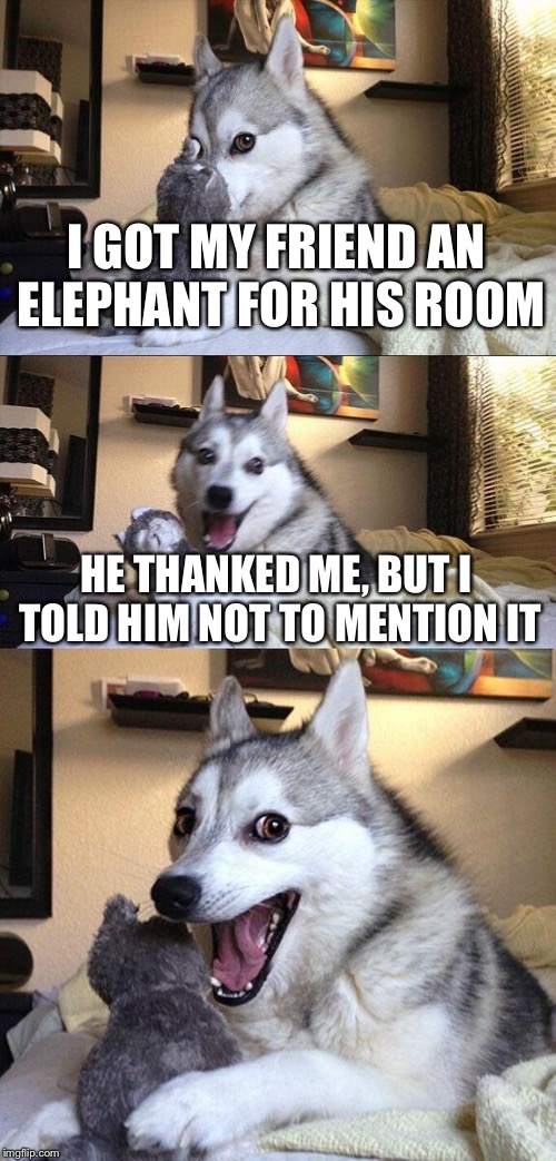 Bad Pun Dog Meme | I GOT MY FRIEND AN ELEPHANT FOR HIS ROOM; HE THANKED ME, BUT I TOLD HIM NOT TO MENTION IT | image tagged in memes,bad pun dog | made w/ Imgflip meme maker