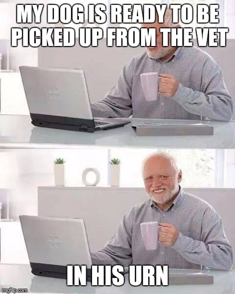 Hide the Pain Harold | MY DOG IS READY TO BE PICKED UP FROM THE VET; IN HIS URN | image tagged in memes,hide the pain harold | made w/ Imgflip meme maker