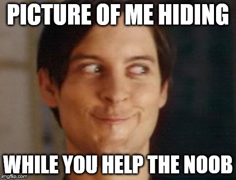 Spiderman Peter Parker | PICTURE OF ME HIDING; WHILE YOU HELP THE NOOB | image tagged in memes,spiderman peter parker | made w/ Imgflip meme maker