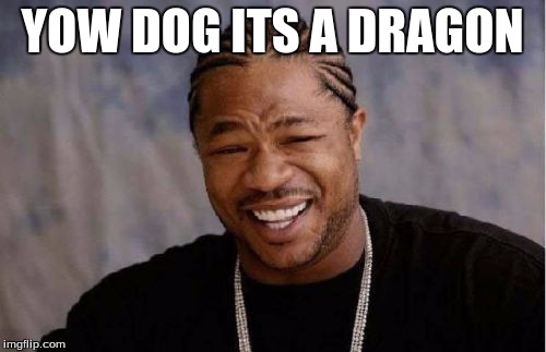 Yo Dawg Heard You Meme | YOW DOG ITS A DRAGON | image tagged in memes,yo dawg heard you | made w/ Imgflip meme maker