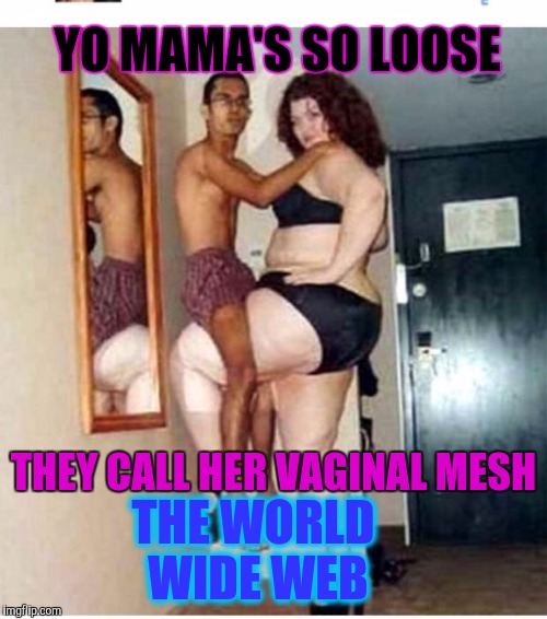 That's One Loose Mother Goose! | YO MAMA'S SO LOOSE; THEY CALL HER VAGINAL MESH; THE WORLD WIDE WEB | image tagged in yo mama,lol so funny,big cats,nasty,big pussy,bad memes | made w/ Imgflip meme maker