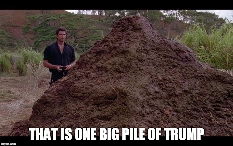 One Big Pile of Sh*t | THAT IS ONE BIG PILE OF TRUMP | image tagged in one big pile of shit,meme,trump,shit,politics,jurassic park | made w/ Imgflip meme maker