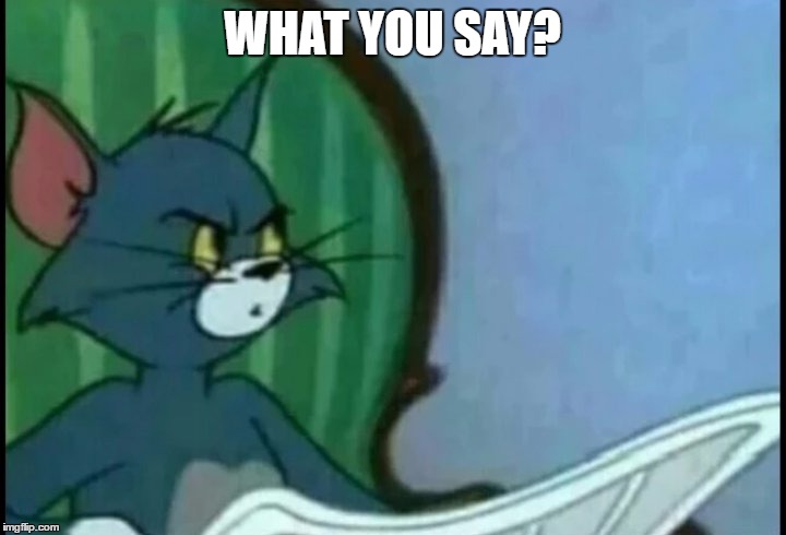 WHAT YOU SAY? | image tagged in funny,what,tom and jerry | made w/ Imgflip meme maker