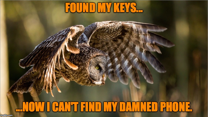 If It Ain't One Thing ... #$%#@ | FOUND MY KEYS... ...NOW I CAN'T FIND MY DAMNED PHONE. | image tagged in late for work | made w/ Imgflip meme maker