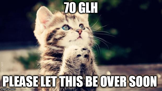 Praying cat | 70 GLH; PLEASE LET THIS BE OVER SOON | image tagged in praying cat | made w/ Imgflip meme maker