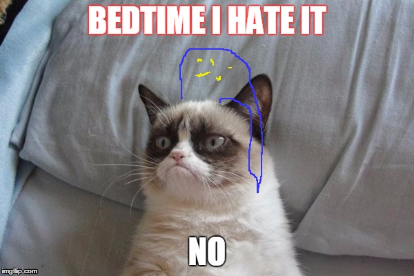 Grumpy Cat Bed Meme | BEDTIME I HATE IT; NO | image tagged in memes,grumpy cat bed,grumpy cat | made w/ Imgflip meme maker