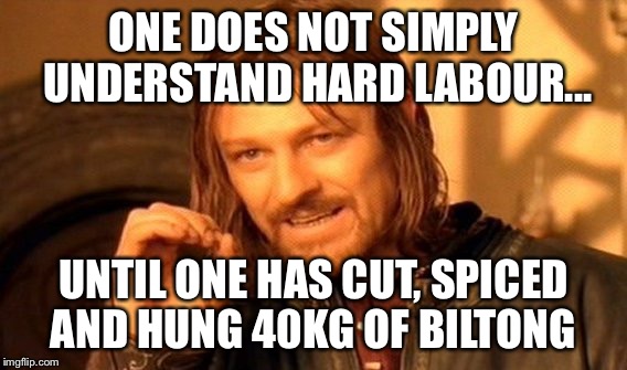 One Does Not Simply Meme | ONE DOES NOT SIMPLY UNDERSTAND HARD LABOUR... UNTIL ONE HAS CUT, SPICED AND HUNG 40KG OF BILTONG | image tagged in memes,one does not simply | made w/ Imgflip meme maker