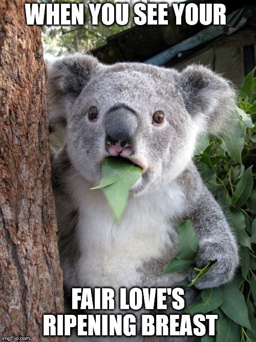Surprised Koala | WHEN YOU SEE YOUR; FAIR LOVE'S RIPENING BREAST | image tagged in memes,surprised coala | made w/ Imgflip meme maker