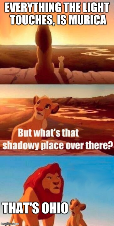 Simba Shadowy Place | EVERYTHING THE LIGHT TOUCHES, IS MURICA; THAT'S OHIO | image tagged in memes,simba shadowy place | made w/ Imgflip meme maker