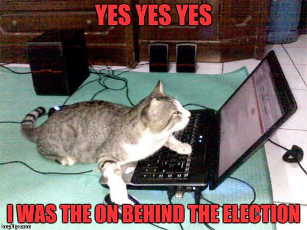 Hacker Cat | YES YES YES; I WAS THE ON BEHIND THE ELECTION | image tagged in hacker cat | made w/ Imgflip meme maker
