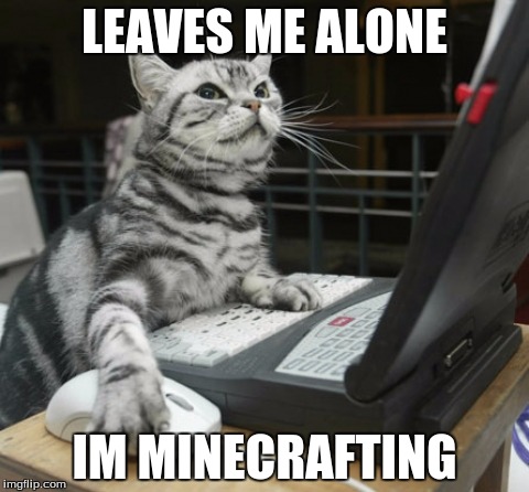 hacker cat | LEAVES ME ALONE; IM MINECRAFTING | image tagged in hacker cat | made w/ Imgflip meme maker