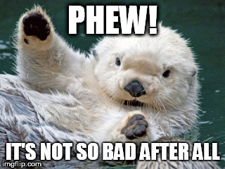 phew | PHEW! IT'S NOT SO BAD AFTER ALL | image tagged in the relief | made w/ Imgflip meme maker