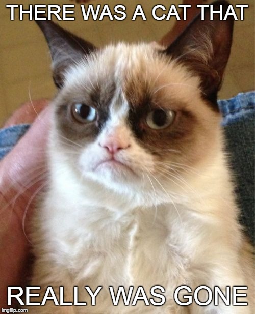 Grumpy Cat Meme | THERE WAS A CAT THAT REALLY WAS GONE | image tagged in memes,grumpy cat | made w/ Imgflip meme maker