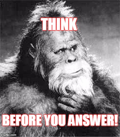 Bigfoot | THINK; BEFORE YOU ANSWER! | image tagged in bigfoot | made w/ Imgflip meme maker