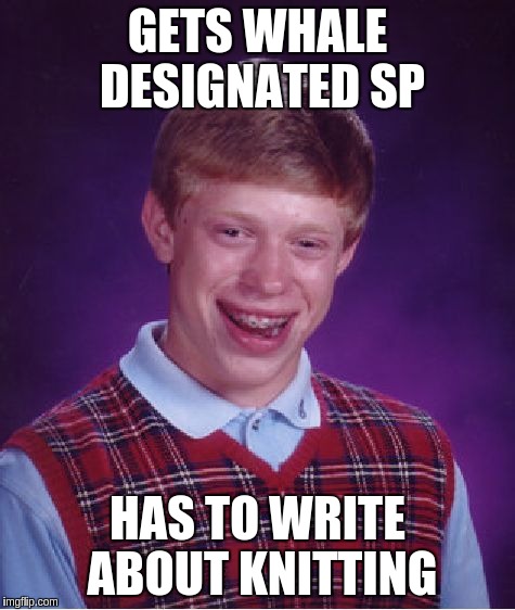 Bad Luck Brian Meme | GETS WHALE DESIGNATED SP; HAS TO WRITE ABOUT KNITTING | image tagged in memes,bad luck brian | made w/ Imgflip meme maker