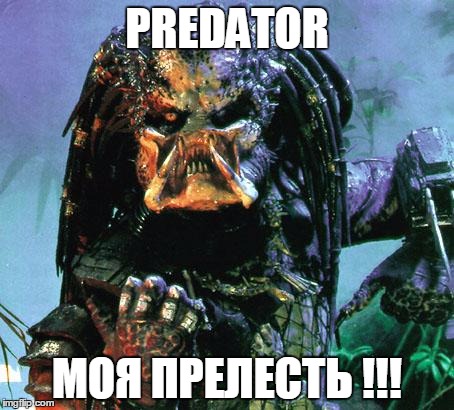 predator | PREDATOR; МОЯ ПРЕЛЕСТЬ !!! | image tagged in predator | made w/ Imgflip meme maker