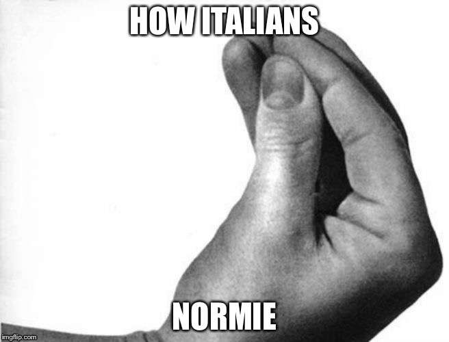 italian hand | HOW ITALIANS; NORMIE | image tagged in italian hand | made w/ Imgflip meme maker