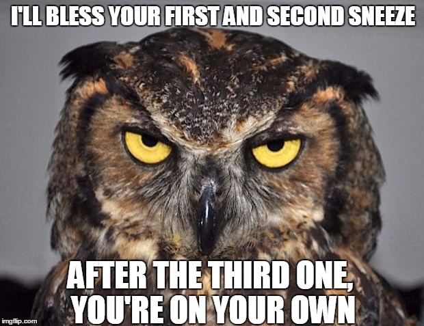 I have a two sneeze limit. | I'LL BLESS YOUR FIRST AND SECOND SNEEZE; AFTER THE THIRD ONE, YOU'RE ON YOUR OWN | image tagged in angry owl | made w/ Imgflip meme maker