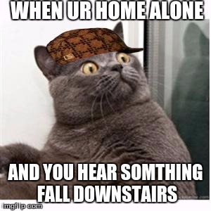 Conspiracy Cat | WHEN UR HOME ALONE; AND YOU HEAR SOMTHING FALL DOWNSTAIRS | image tagged in conspiracy cat,scumbag | made w/ Imgflip meme maker