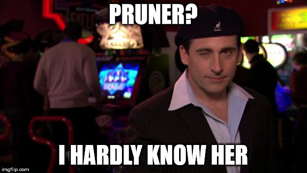 Michael Scott | PRUNER? I HARDLY KNOW HER | image tagged in michael scott | made w/ Imgflip meme maker