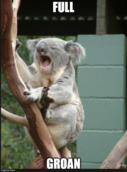 Koala yelling | FULL; GROAN | image tagged in koala yelling | made w/ Imgflip meme maker